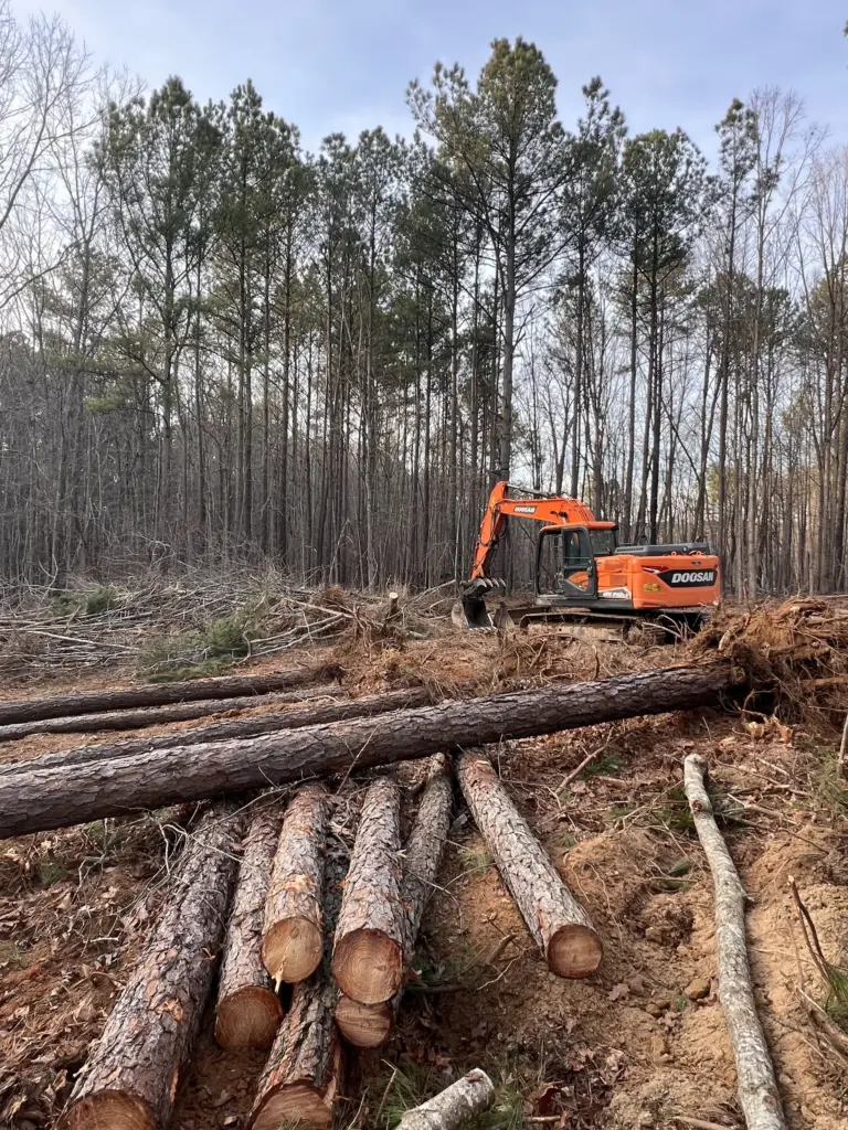 Excavator beside stacked felled pine logs on a wooded lot being cleared.