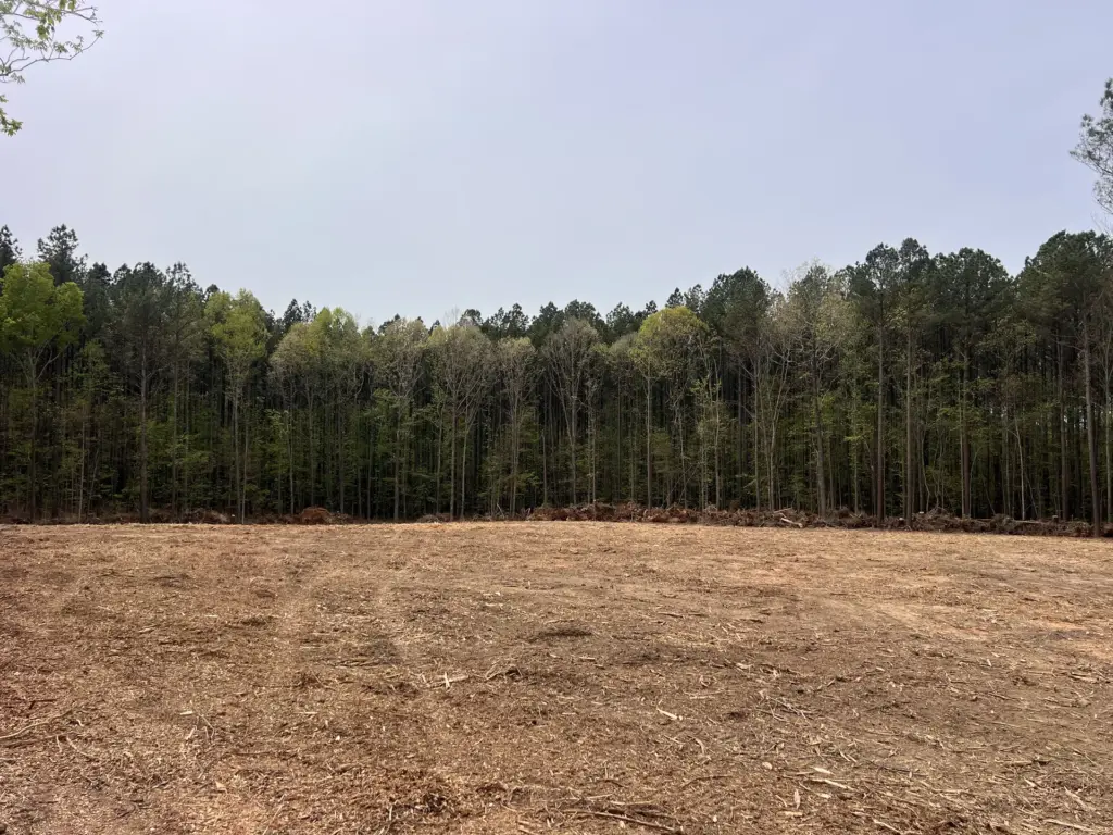 Freshly mulched land clearing with a straight tree line in the background under overcast sky.