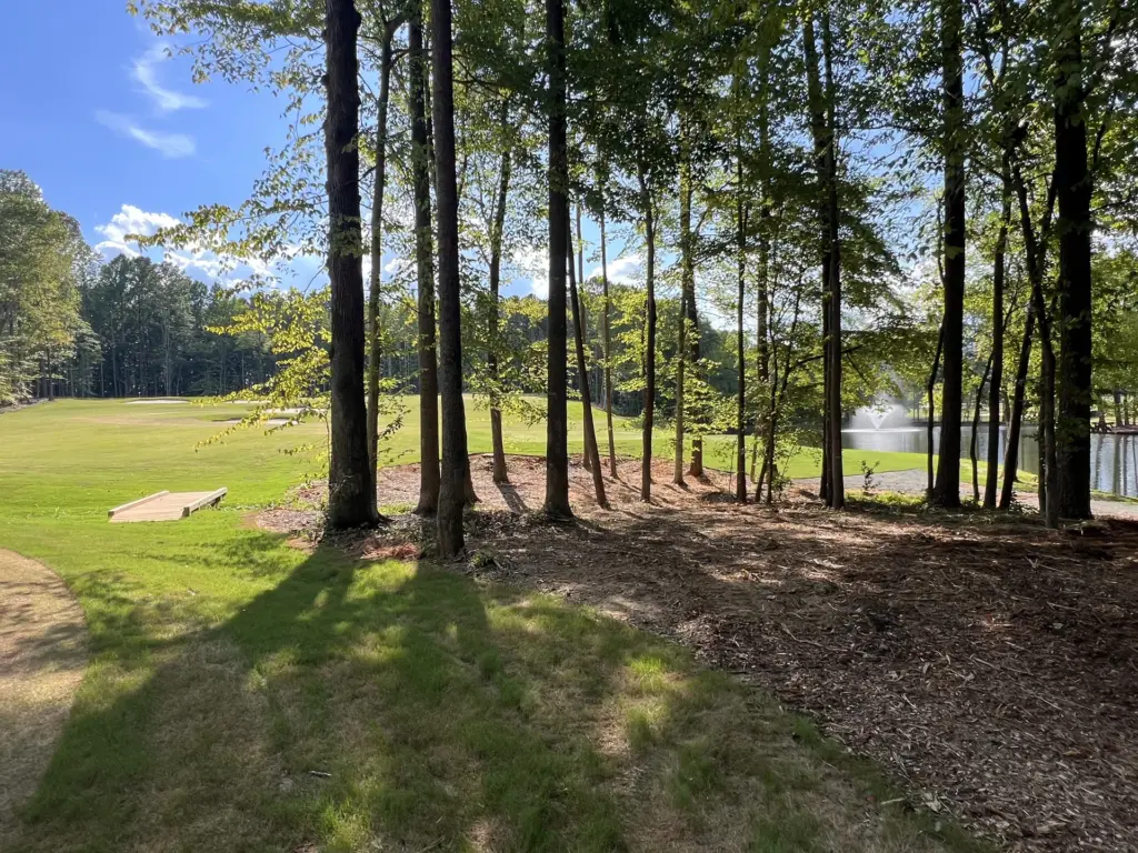 Thinned trees with mulched ground along a pond and fountain beside a maintained lawn.