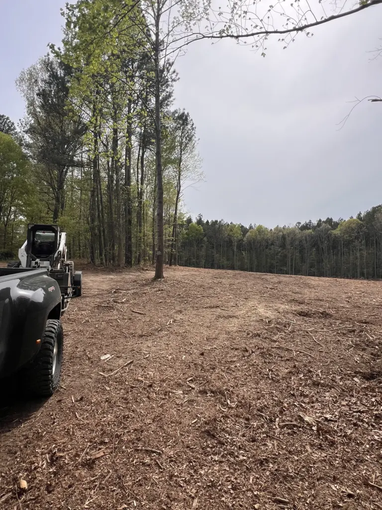 Mulched clearing with tree line; skid steer and work truck at left.