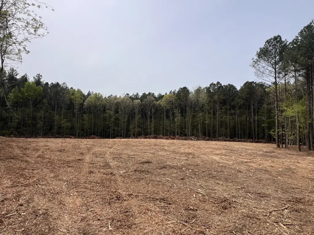 Forestry mulched clearing with wood chips and a tree line under a hazy sky.