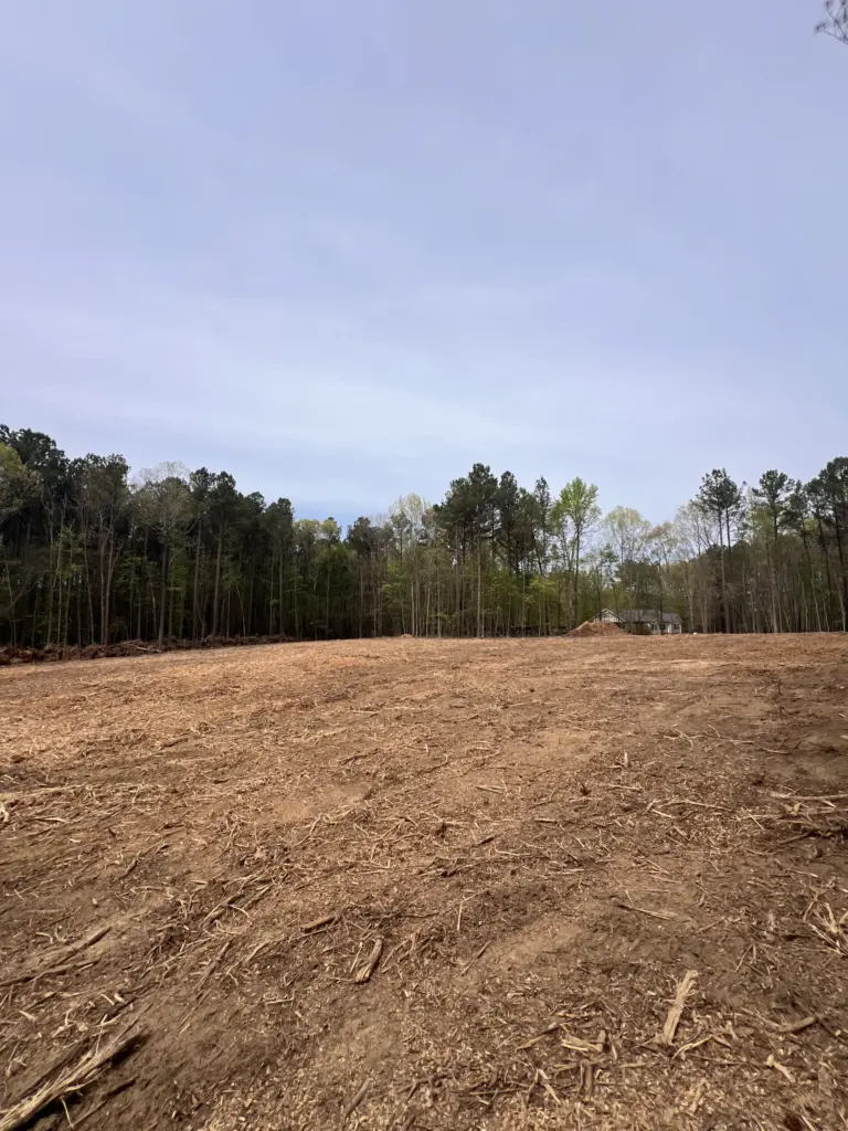 Cleared dirt lot with wood chips, bordered by a tree line under a cloudy sky.