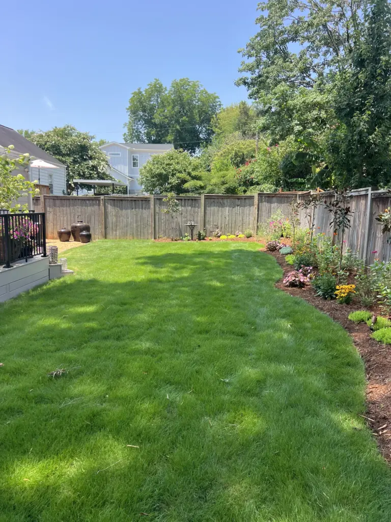 Backyard with lush green lawn, curved mulch flower beds, and wooden privacy fence on a sunny day.